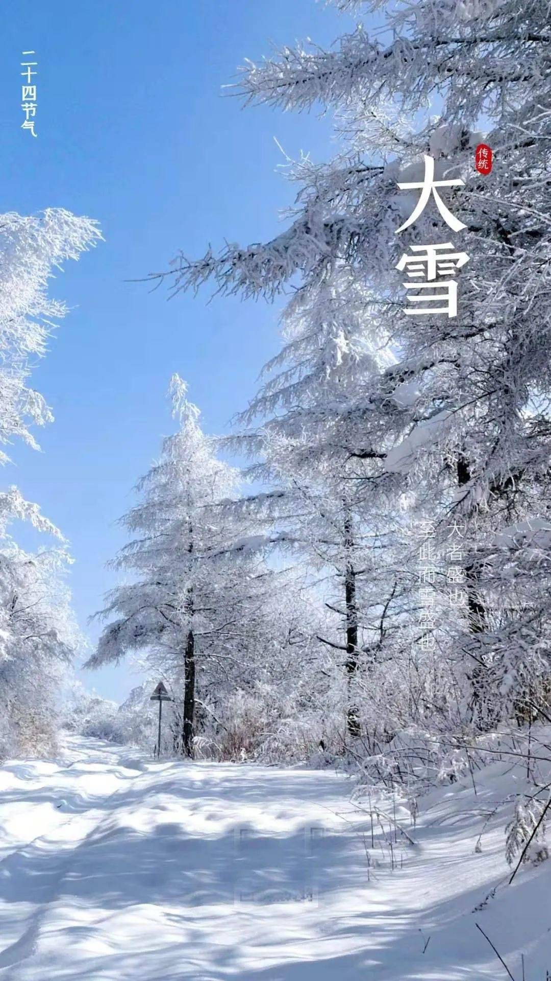 雪花飘影院手机版观看时间雪花飘落，影院时光——手机版观看体验的探索