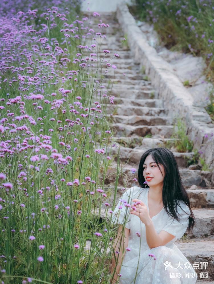 九草在线视频导航九草在线视频，探索现代网络视频的无限可能