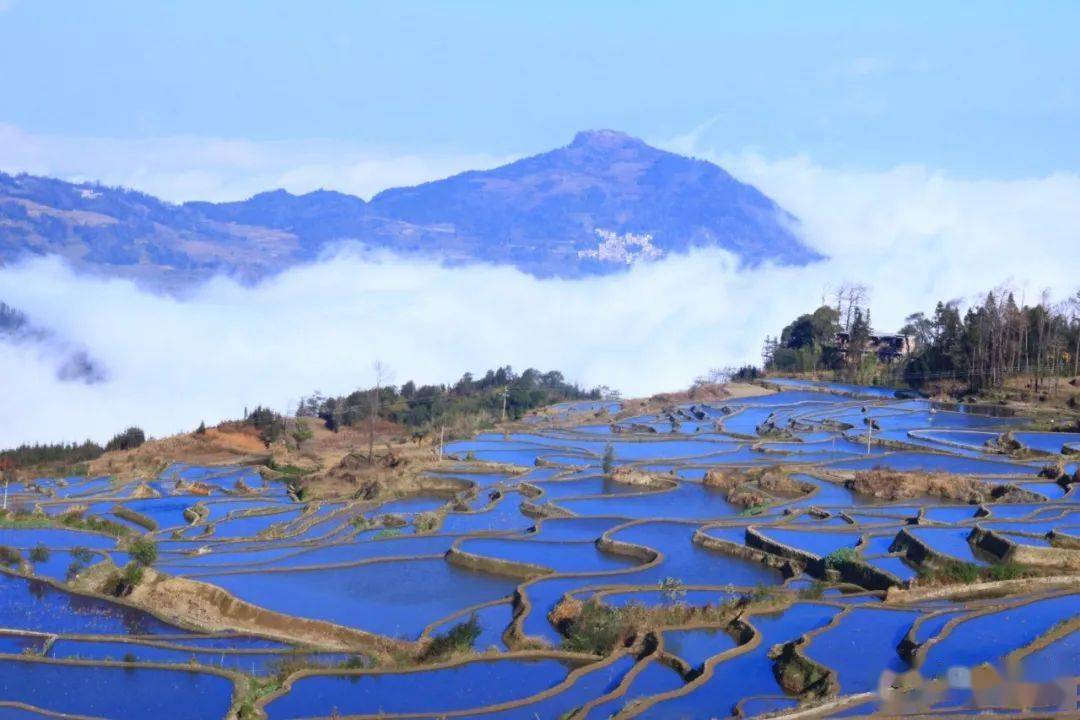 大地资源在线高清大地资源在线高清，探索无尽的自然宝藏