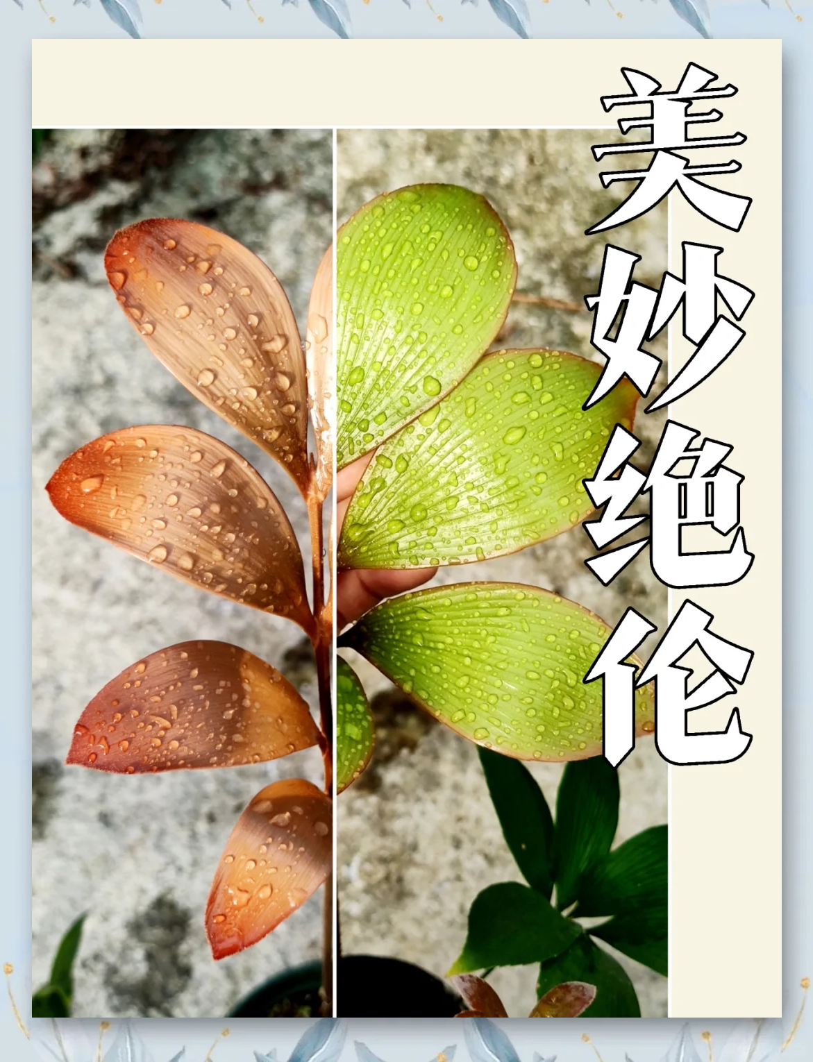 颜色程度10颗星以上的片探索色彩世界，深度解析那些令人惊艳的10颗星以上的色彩大片-第2张图片