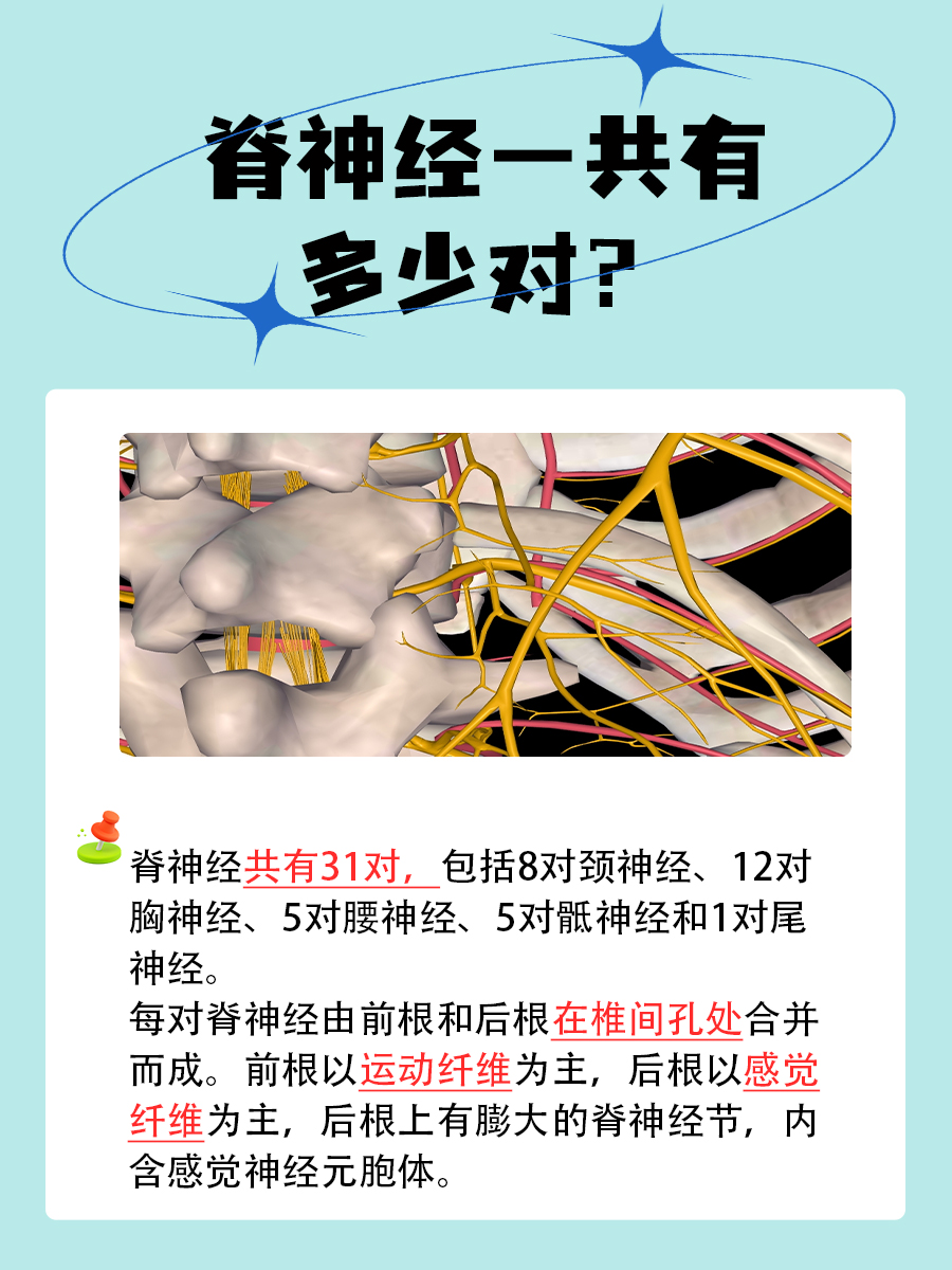 全球视角下的高清人体探索——gogo人体全球高清的胆识与挑战-第1张图片