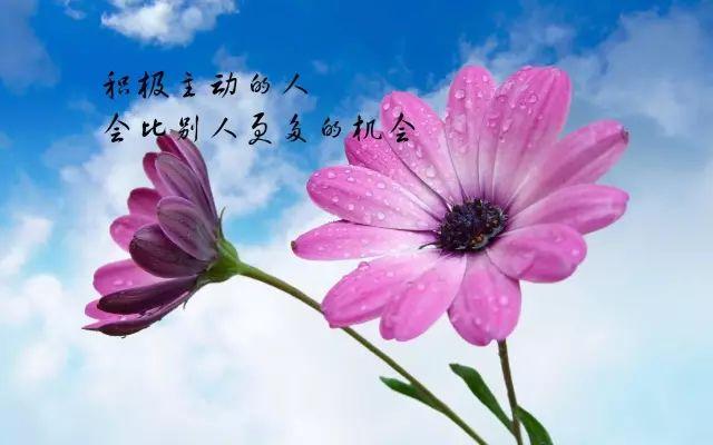 正能量网站www正能量免费直播正能量网站，免费直播，传递积极能量-第1张图片