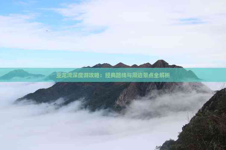 探索天堂资源最新版，深度解析与使用指南