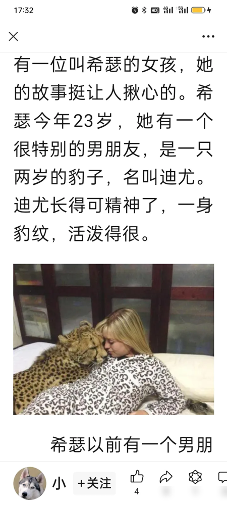 探讨人与动物关系之界限——以真人与狗裸交为例-第1张图片