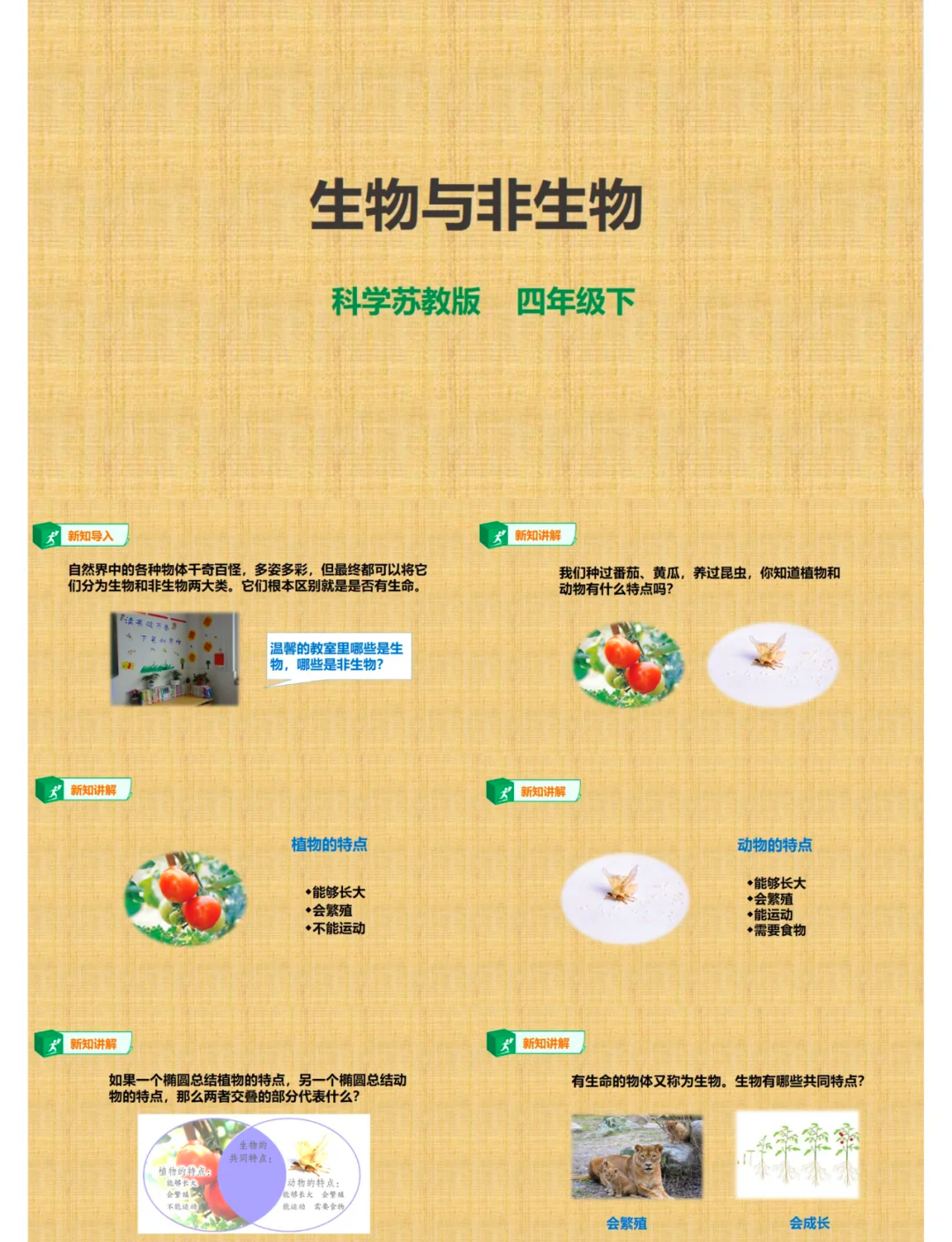 男生与女生共同探索，查查查的旅程与疼痛的启示