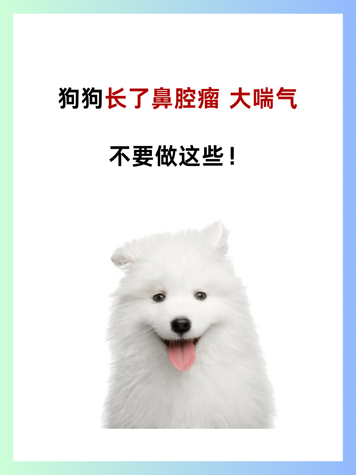 狗狗太大了会撑坏的狗狗饮食之度，警惕狗狗太大了会撑坏的警示