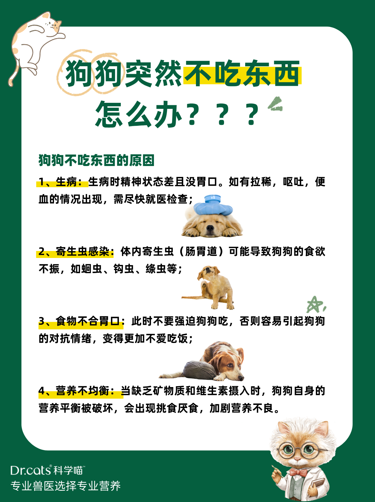 狗狗太大了会撑坏的狗狗饮食之度，警惕狗狗太大了会撑坏的警示-第2张图片