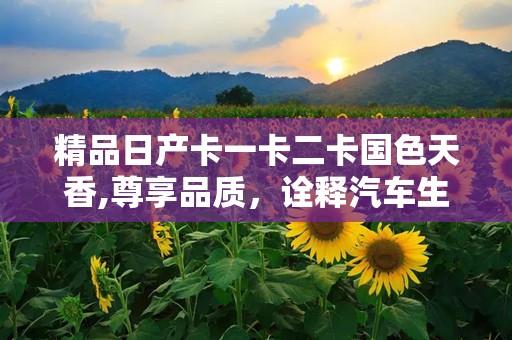 国产一卡二卡三卡四卡孕妇网站，信息与风险并存的网络现象