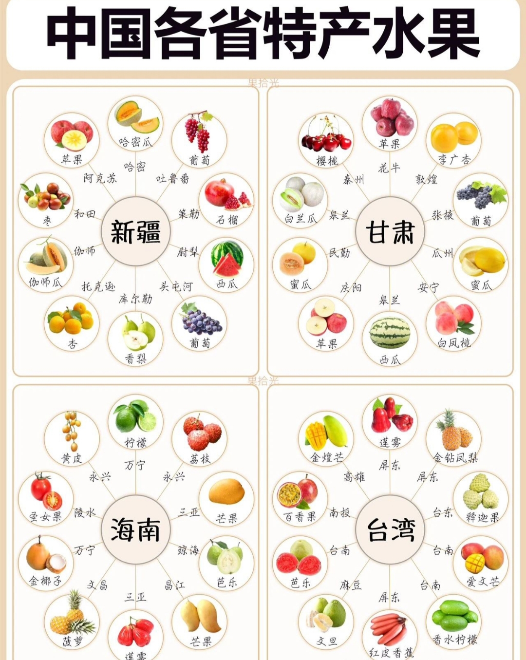 三叶草亚洲码和欧洲码区别水果三叶草亚洲码与欧洲码的差异，以水果为例的探究