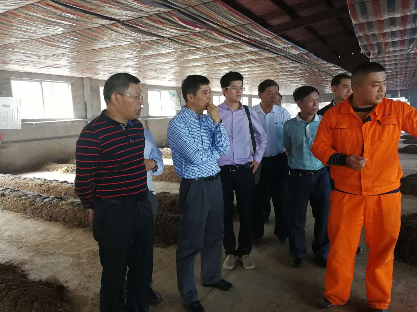 人与畜禽不一样人与畜禽共性探索之旅——视频启示录-第2张图片