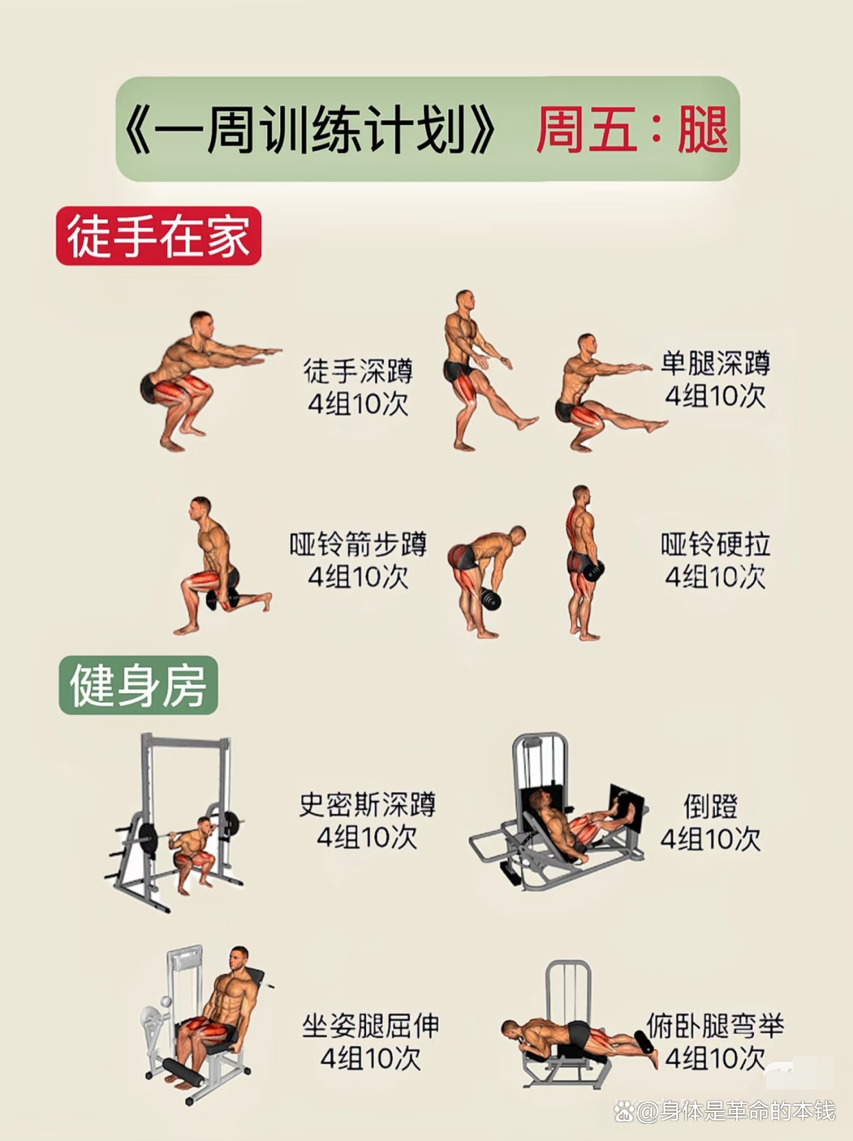 健身教练与我，48小时的深度关系