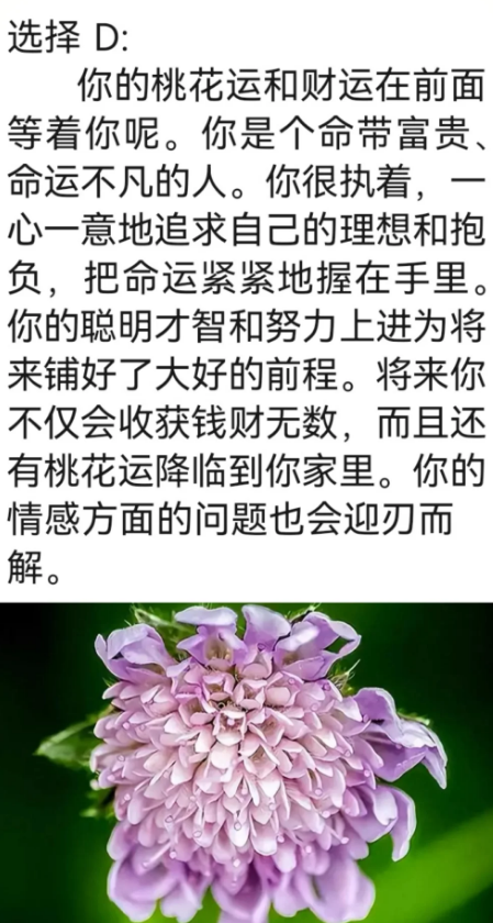 色哟哟导航探索多彩世界——色哟哟导航的魅力之旅