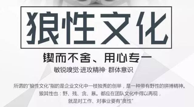 欧美X性文化探讨