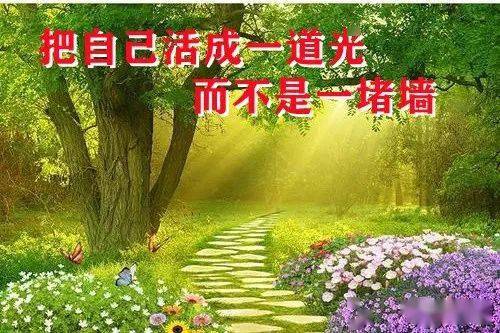 一道本视频一二三区一道本视频一二三区的探索与解读-第2张图片