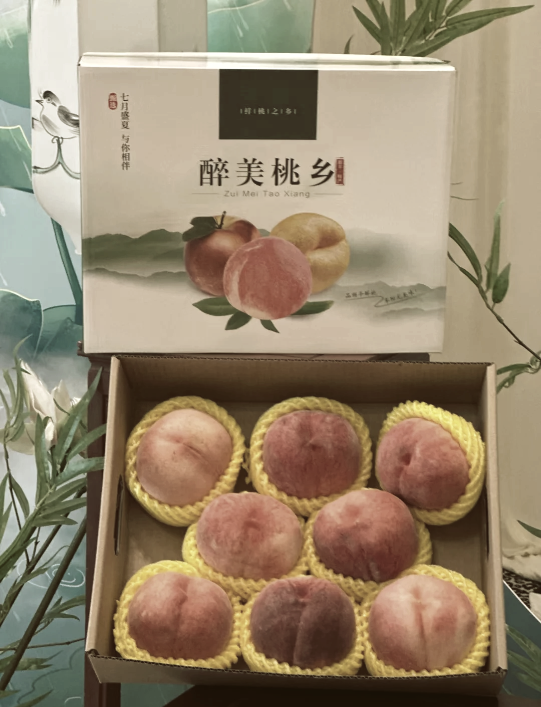 桃子视频，高清免费观看的绝佳选择-第2张图片
