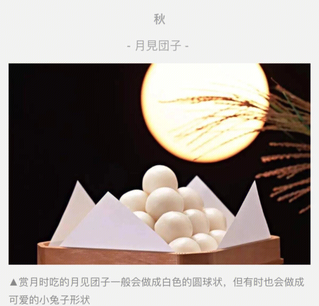 日本文化中的社交习俗与成年人的交往指南