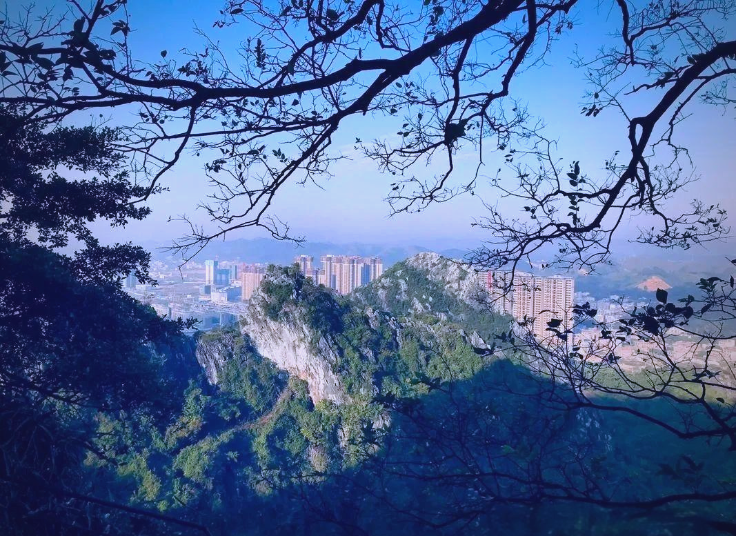 颠峰游颠峰游，探索未知的魅力之旅
