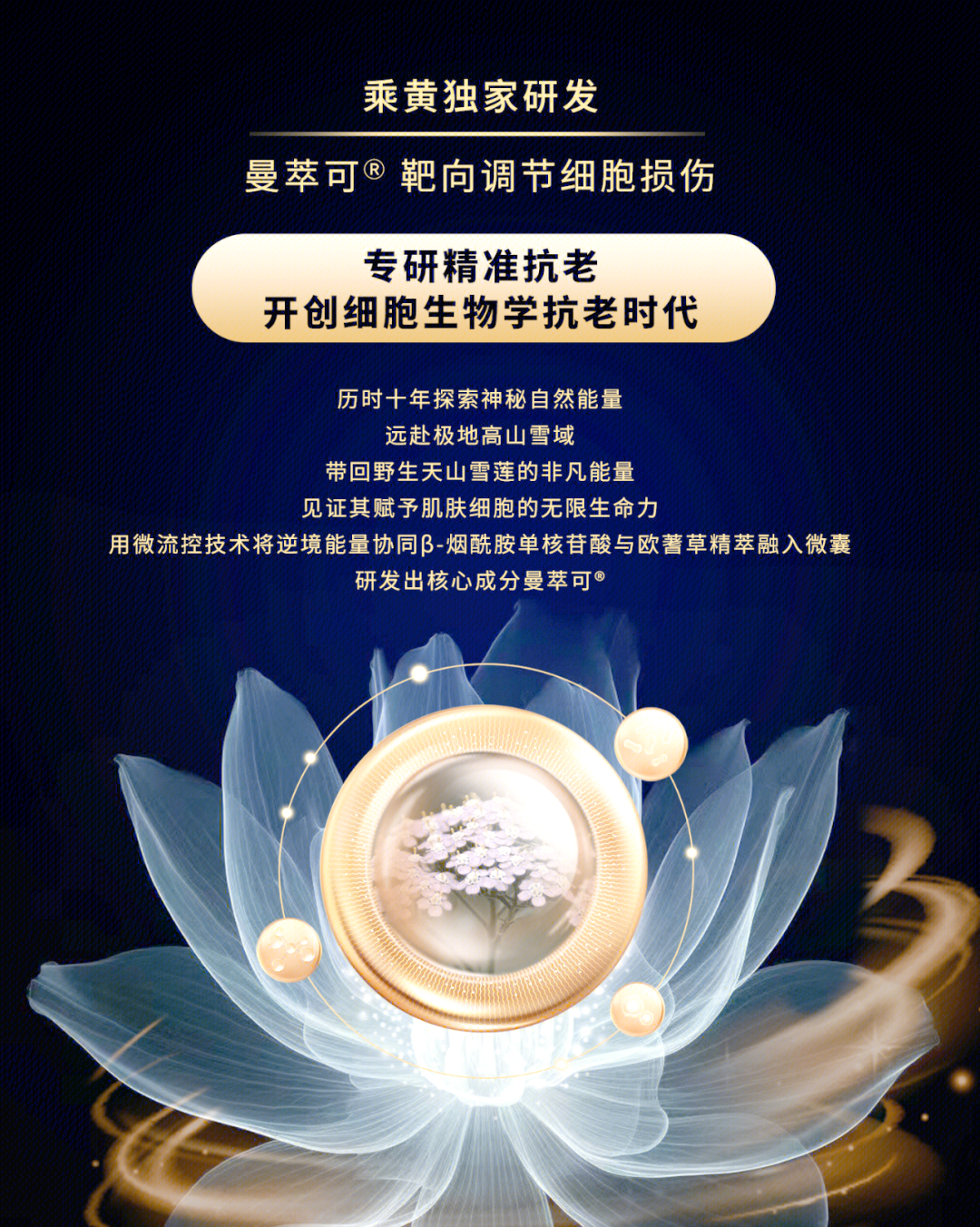 一面亲上边一面膜下边文字的探索一面亲上边一面膜下边的魅力与奥秘