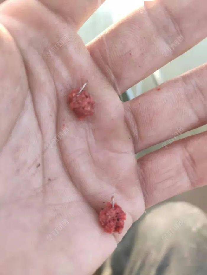 宝宝好涨水快流出来免费视频软件宝宝好涨水快流出的视频内容与健康探讨-第2张图片