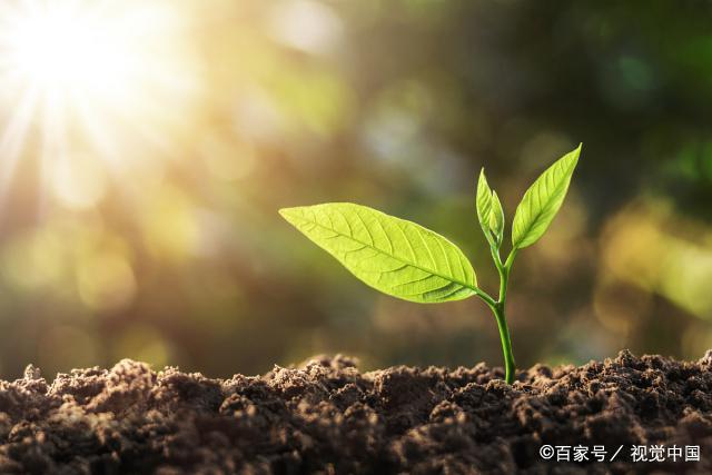 靠JY才能活下去系统的视频，生存的智慧与实用指南-第2张图片