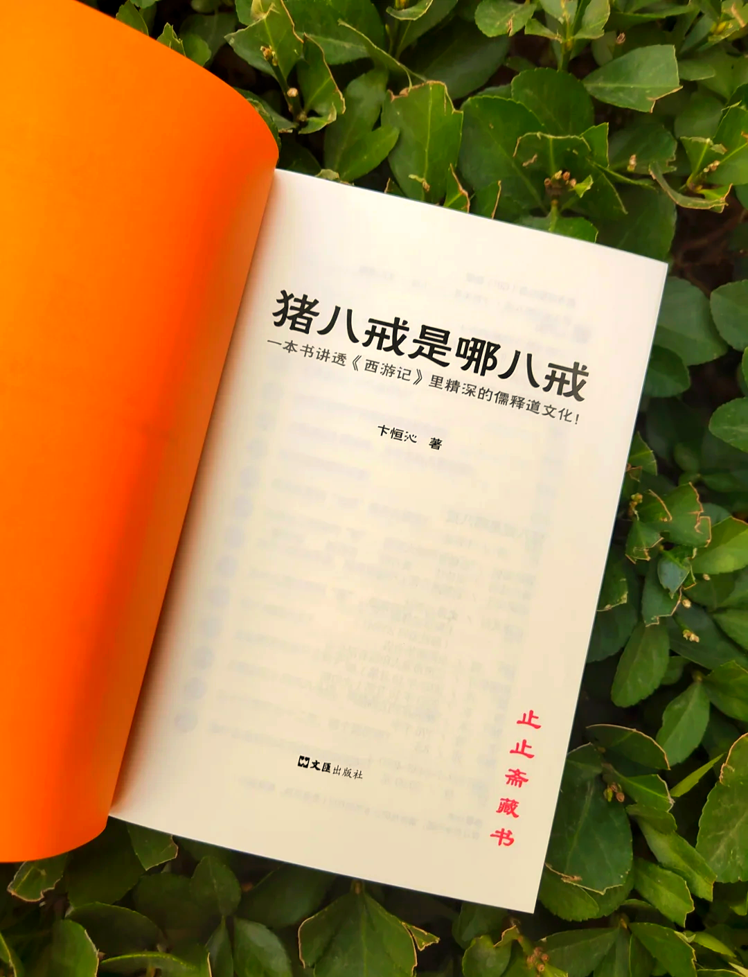 八戒电影官网无广告八戒八戒资源在线观看免费全解析-第3张图片