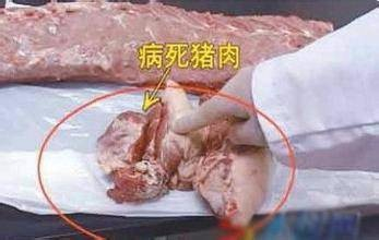 奶头捏得涨大玩弄公交上的图片小说公交之上的私密游戏，奶头捏得涨大玩弄