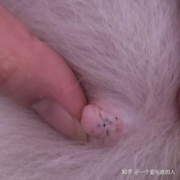 奶头捏得涨大玩弄公交上的图片小说公交之上的私密游戏，奶头捏得涨大玩弄-第2张图片