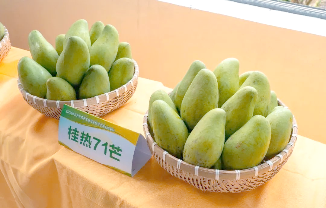 日产精品一线二线三线芒果的价格品味日产精品，一线、二线、三线芒果的独特魅力-第1张图片
