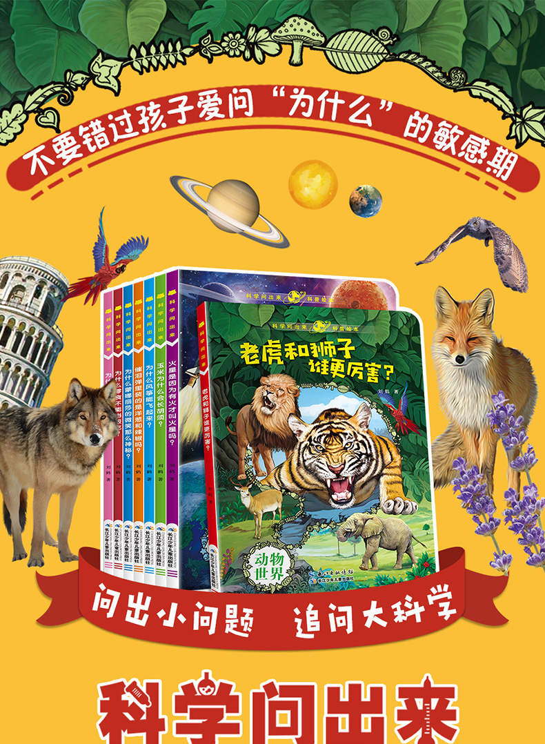 探索6房间视频的奥秘-第3张图片
