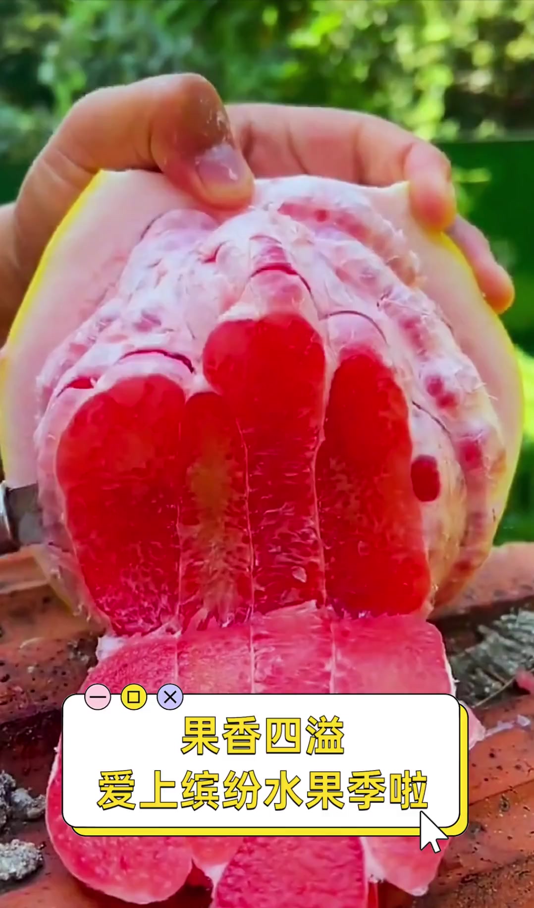 缤纷果香，品味多彩水果盛宴——香蕉、荔枝、樱桃与水蜜桃的魅力-第1张图片