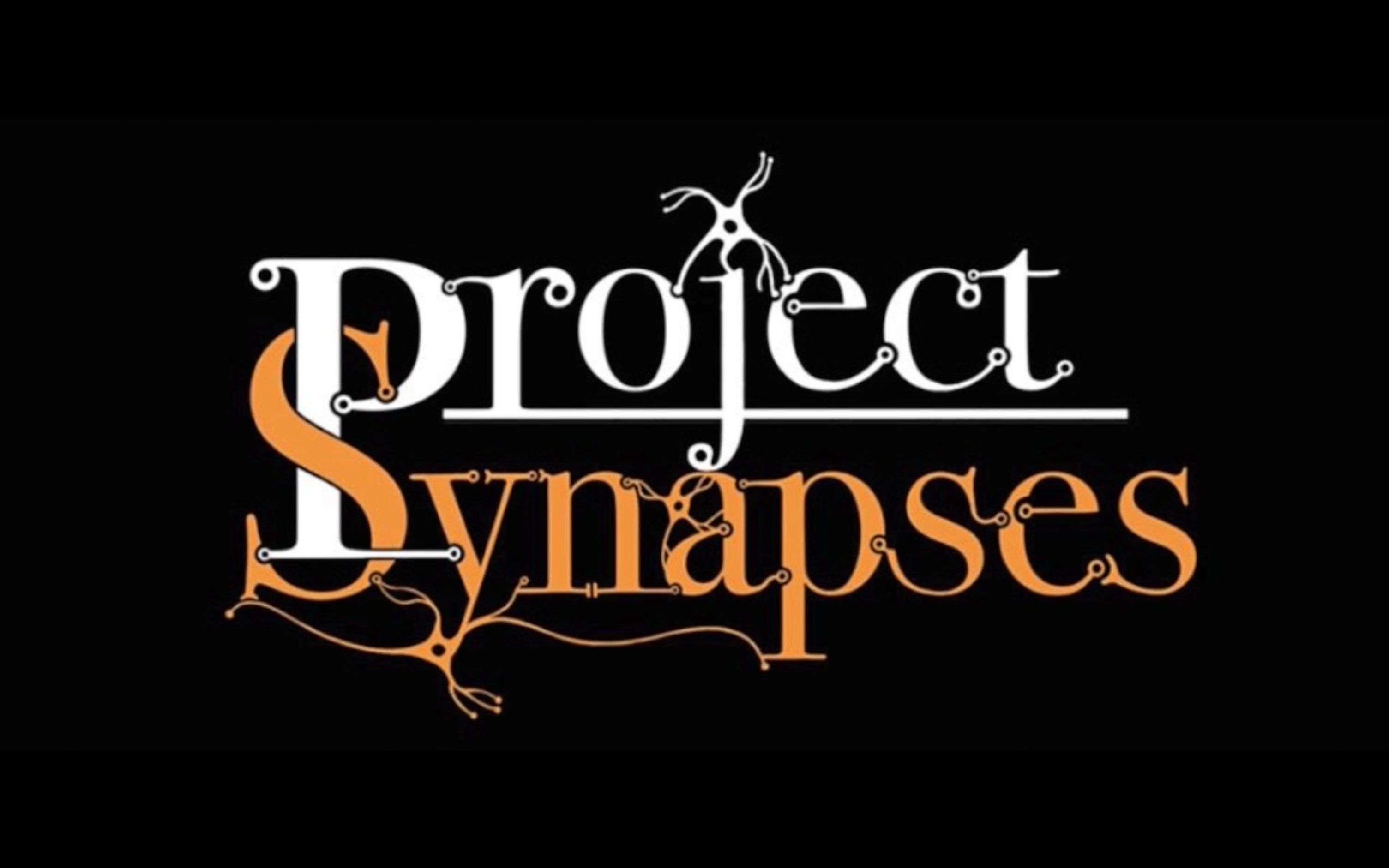 菊花project视频音乐菊影之舞，PROJECT视频与BGM的完美融合-第2张图片