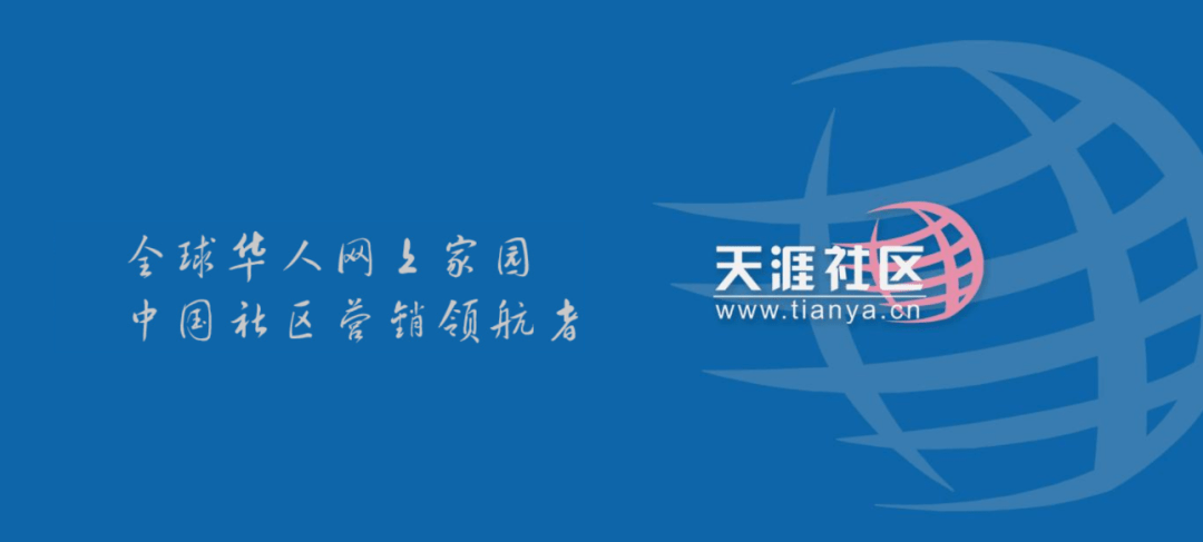 互联网社区，连接、交流与成长的平台-第2张图片