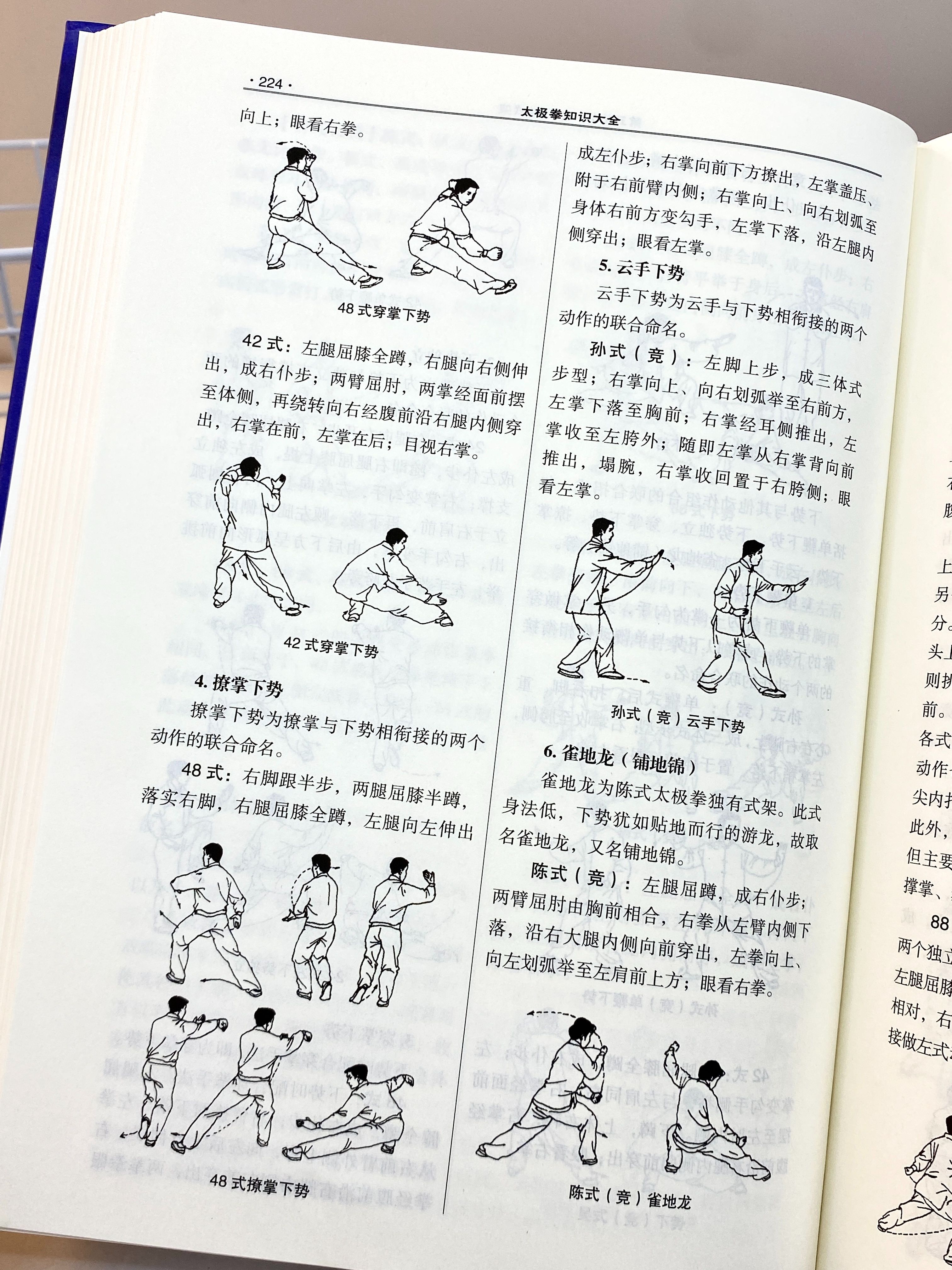 纯阳技能纯阳技能，探索与理解-第1张图片