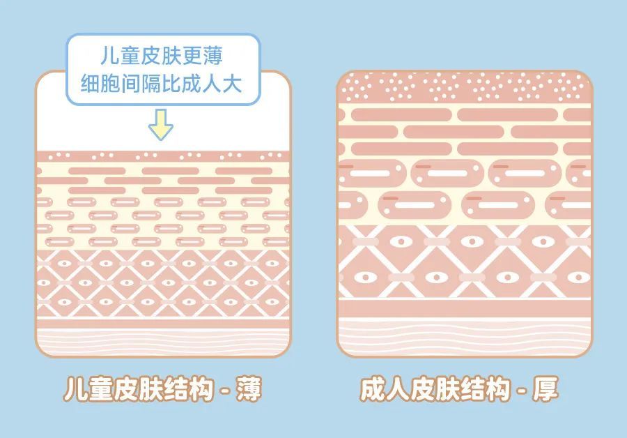 日韩一级特色视频的正确理解与健康观看指南-第2张图片