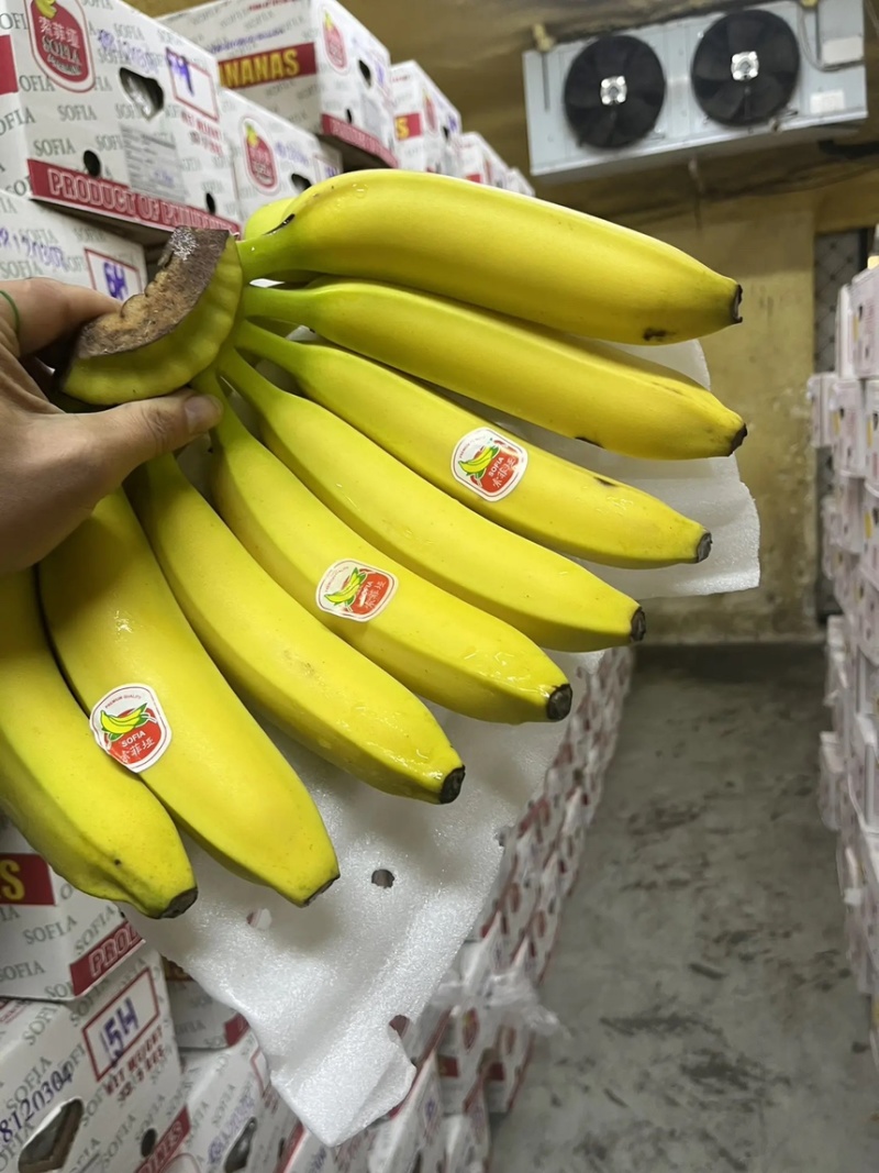 大伊香蕉精品一线视频在线观看探索大伊香蕉精品一线视频的魅力世界-第3张图片