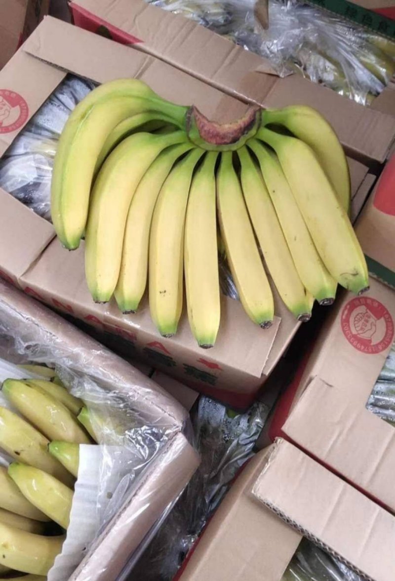 大伊香蕉精品一线视频在线观看探索大伊香蕉精品一线视频的魅力世界
