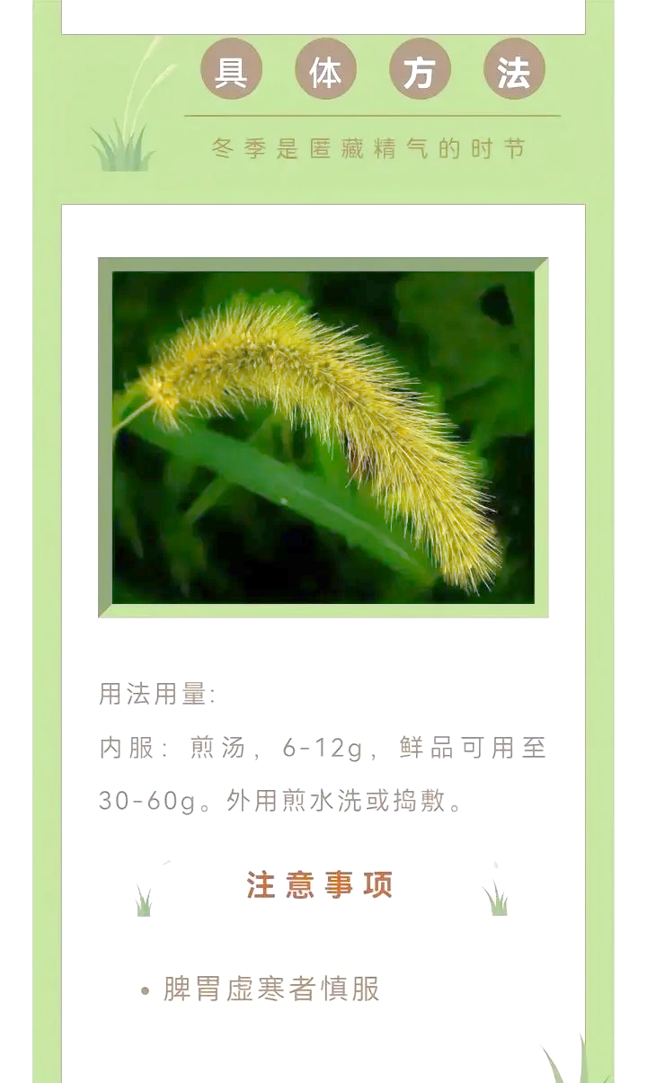 关于17草名字的探索与解读-第1张图片
