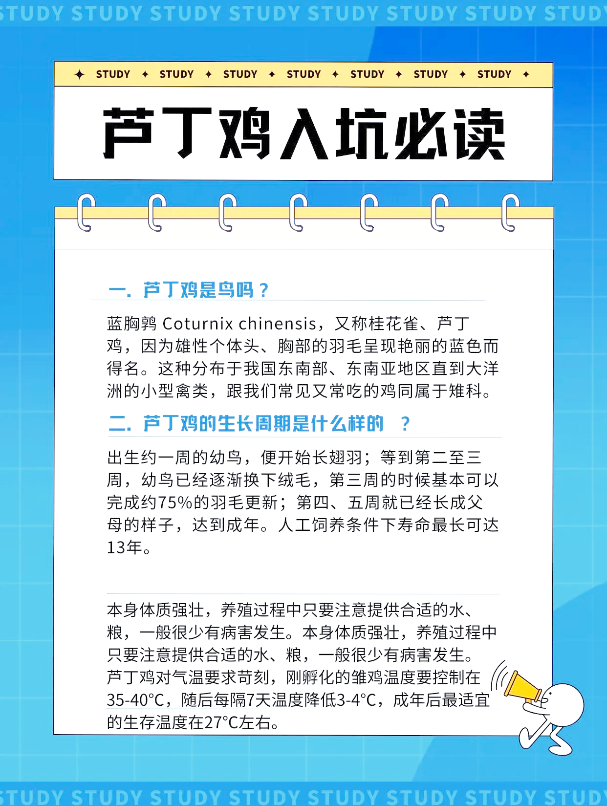 芦j鸡好养吗关于露jj的探讨