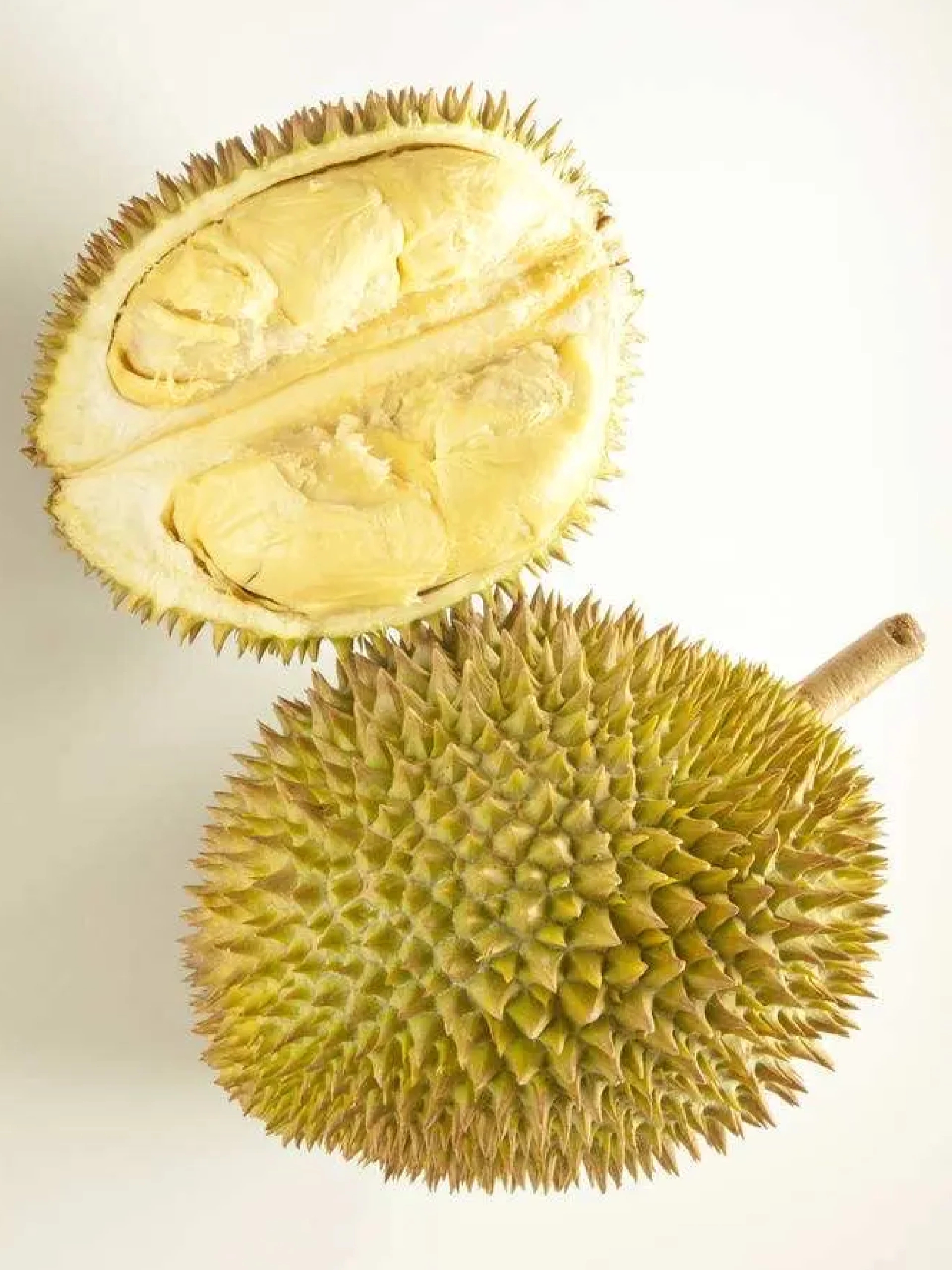 榴莲spliuliansp榴莲lllll77榴莲的魅力与独特之处——SPLIULIANSP榴莲LLLLL99