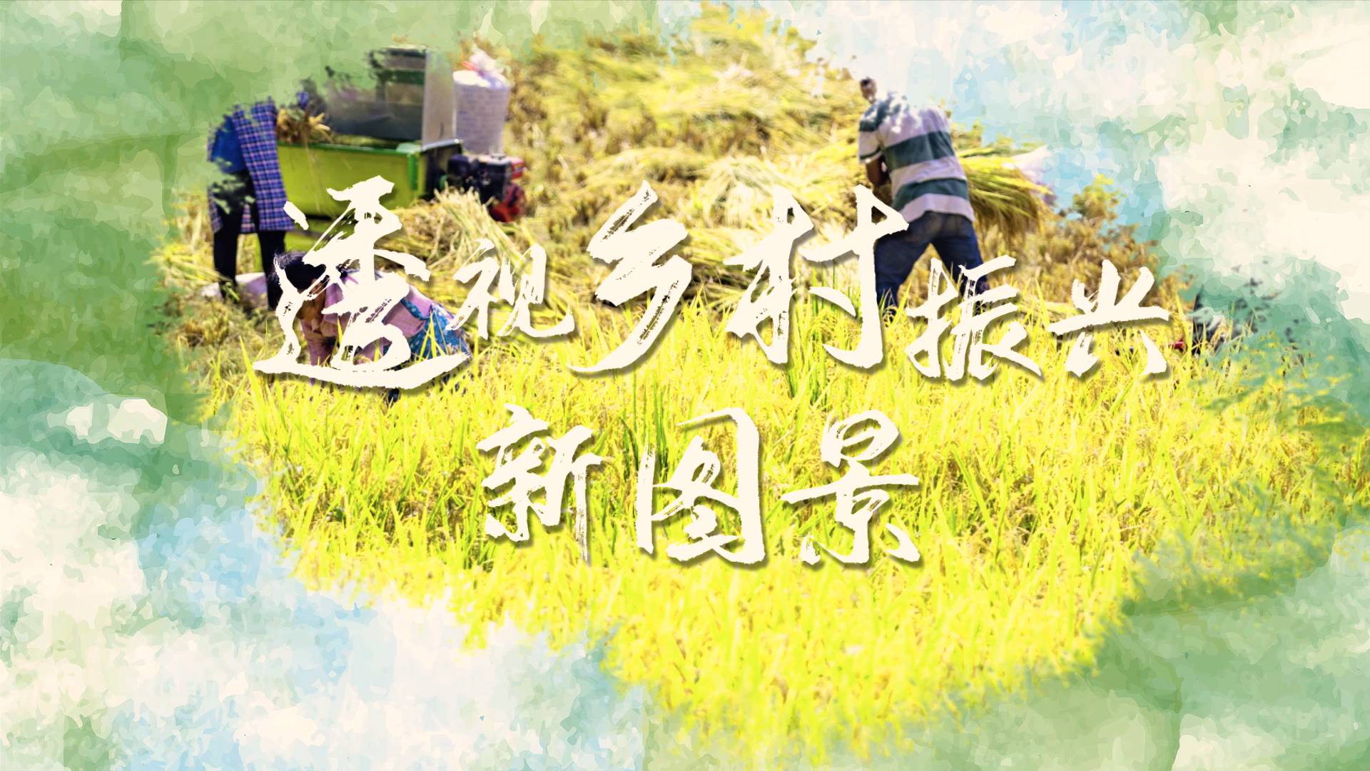乡村色情故事乡村色情故事，纯真与欲望的交织-第2张图片