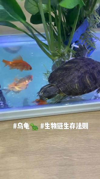 被C到起不来的奇妙体验-第1张图片